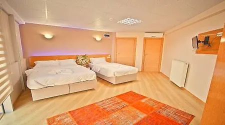Avcilar Dedem Hotell 3*