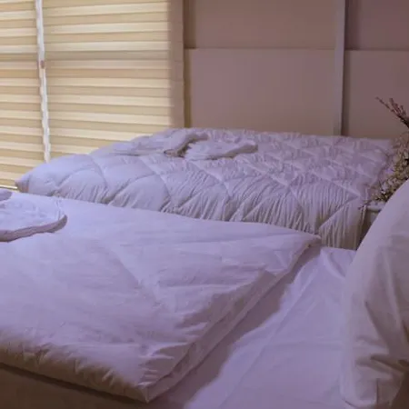 Avcilar Dedem 酒店 伊斯坦布尔