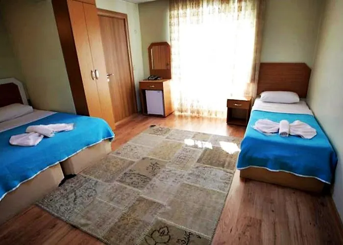 Avcilar Dedem ホテル 3*