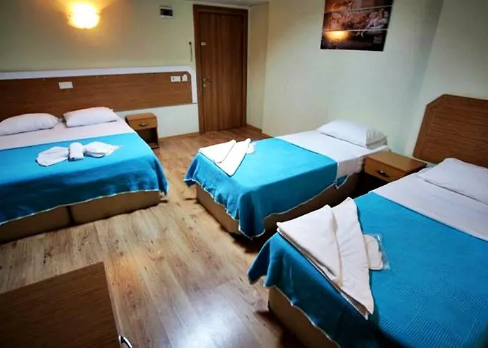 Avcilar Dedem Hotel Istanbulská provincie
