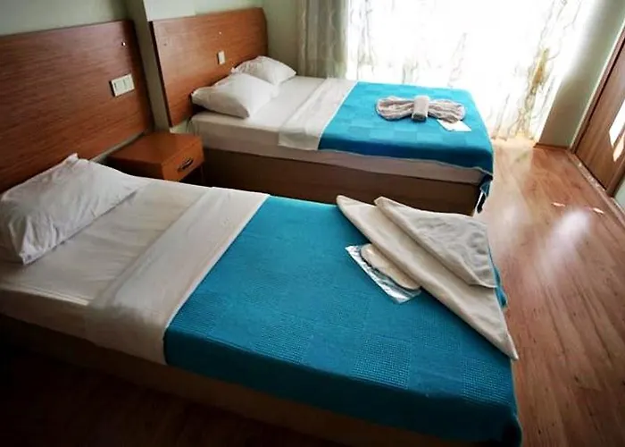 Avcilar Dedem Istanbulská provincie